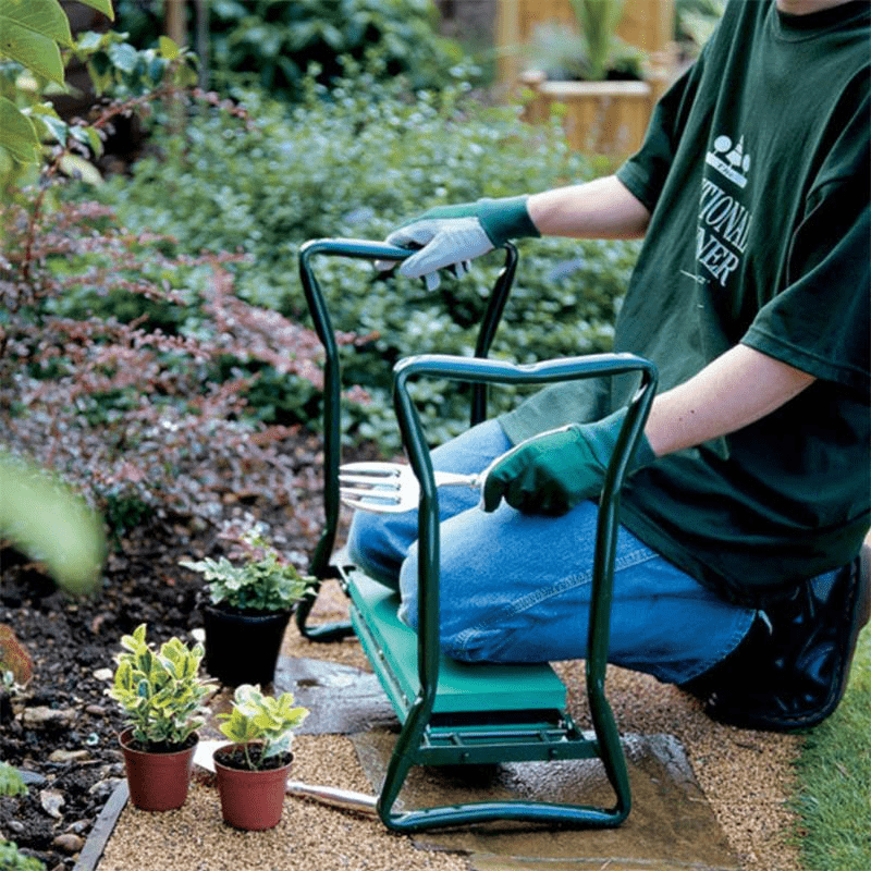Home Care